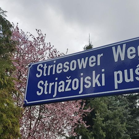 2 Raum Gartenwohnung Am Spreewaldradweg In Cottbus Esterno foto